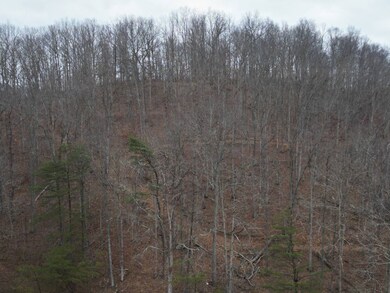 1008 Milo Rd, Orma, WV 25268 - photo 5