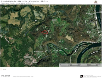 0 Sandy Plains Rd, East Bethlehem Township, PA 15322 - photo 2