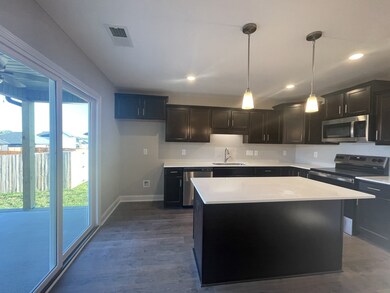 167 Cherry Fields, Clarksville, TN 37042 - photo 2