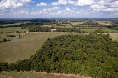 03 Carnell Rd, Rocky Comfort, MO 64861 - photo 5
