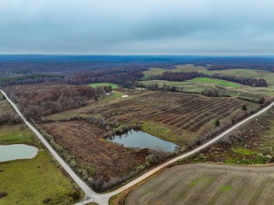 170 Decker Springs Rd, Elizabethtown, IL 62946 - photo 2