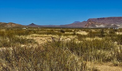 TR:9037 Highlander Ave, Terlingua, TX 79852 - photo 4
