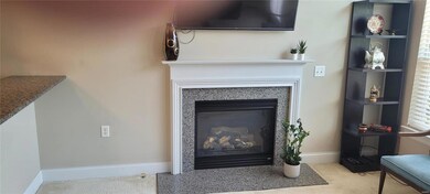 Gas fireplace
