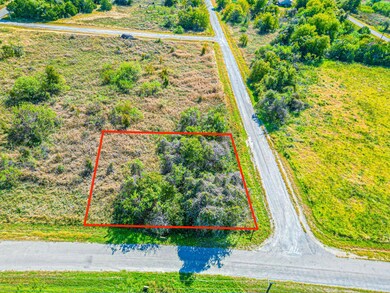 22143 Stanwood Dr & Westmeadow Dr, Whitney, TX 76692 - photo 2