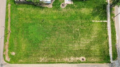 601 S Main St, Pleasant Hill, IL 62366 - photo 5