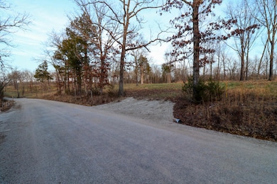 000 Barton Rd, Cedar Creek Township, MO 65627 - photo 4