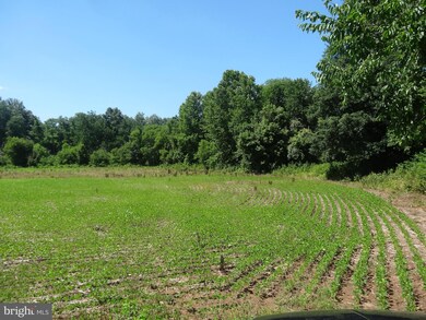 5 Meadow View Ln, Rixeyville, VA 22737 - photo 6