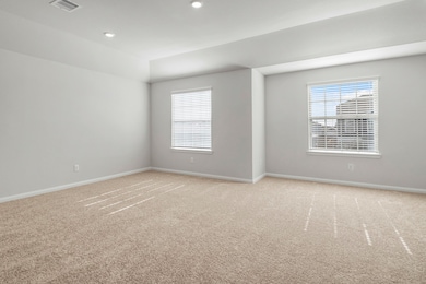 The large, primary bedroom with beautiful windows.