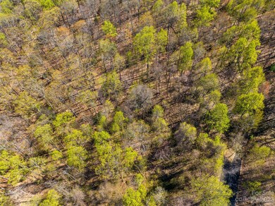 1026 Chippawa Dr unit 69, Arden, NC 28704 - photo 6