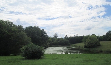 1104 Bethel Trail, South Boston, VA 24592 - photo 6