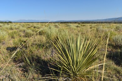 0 Lizard Ln, Gardner, CO 81040 - photo 7