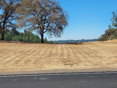 View from front porch