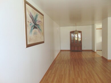 1221 Bayberry Dr, Joliet, IL 60435 - photo 5