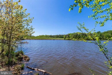 9005 Daum Ct, Springfield, VA 22153 - photo 4