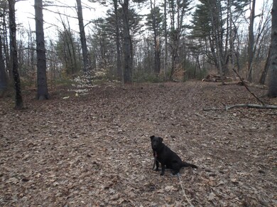 0 Pensyl Creek Rd unit PM-66319, Hamilton Township, PA 18360 - photo 4