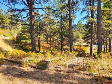 0 Wild Iris Ave unit 752612, Durango, CO 81301 - photo 2