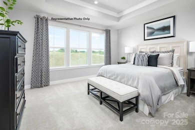 Representative Photo Only