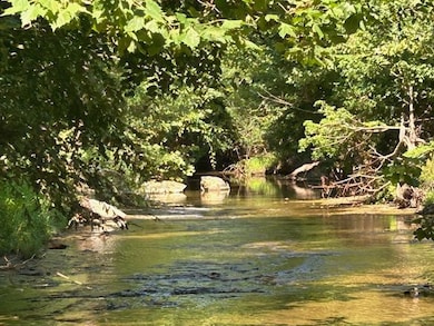 2121 Leatherwood Church Rd, Edmonton, KY 42129 - photo 5