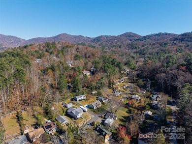 17 Sycamore St, Asheville, NC 28804 - photo 6