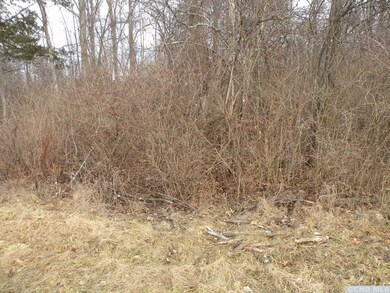 375 Viewmont Rd, Germantown, NY 12526 - photo 3