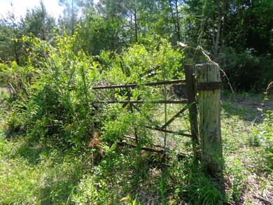 0 Pico Rd, Franklinton, LA 70438 - photo 2