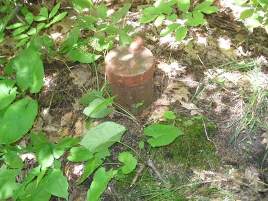 46 Cliff Dwellers, Castleton, VT 05735 - photo 5