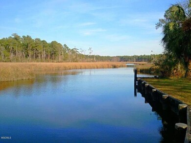 bayou photo2