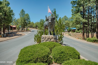 Bison Ridge - Luxury Twin Homes