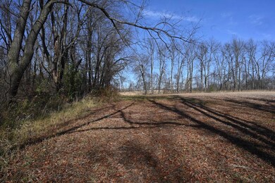 55824 County Line Rd, New Carlisle, IN 46552 - photo 5