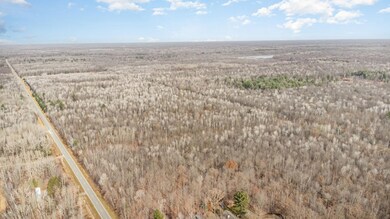 0 S County Line Rd unit 50195278, Shepherd, MI 48883 - photo 4