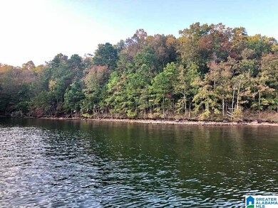 0 County Road 3292 unit 898520, Wedowee, AL 36278 - photo 3