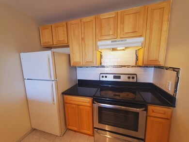 The Montclair Condominiums unit 403, Quincy, MA 02171 - photo 6