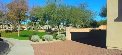 Side yard
