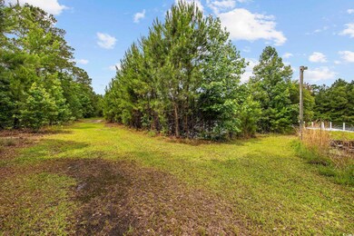 View of yard featuring a view of trees