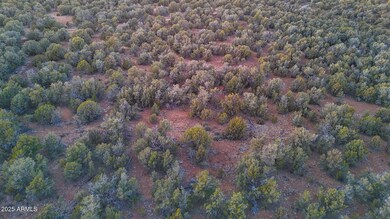 dji_fly_20250108_174630_0840_17364007225