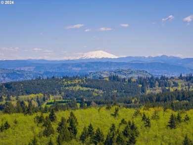 0 Bodine Rd, Clatskanie, OR 97016 - photo 5