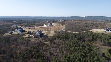 117 Waterview Garden Ln, Roland, AR 72135 - photo 5