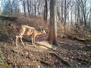 0 Jericho Rd, Glenmont, OH 44628 - photo 4