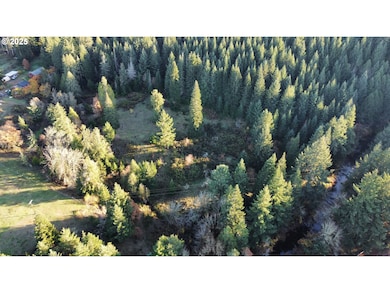 0 Hard Cash Ln, Camasvalley, OR 97416 - photo 2