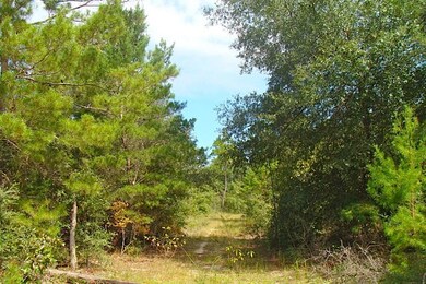 10.8 Acres