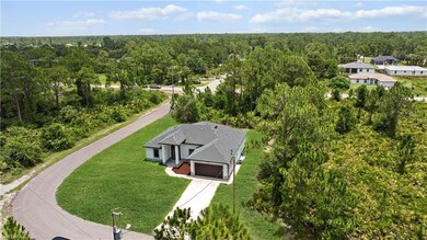 Aerial view of a forest