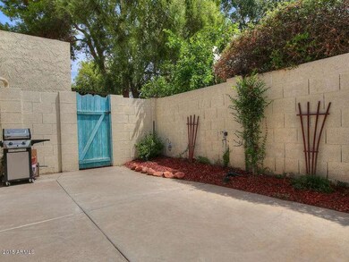 Large back yard/patio