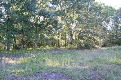 lot 4