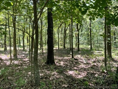Many old growth groves throughout wooded acreage.