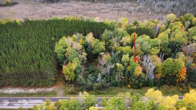 ON Cth B unit Lot 2, Antigo, WI 54424 - photo 2