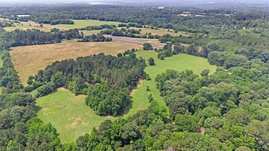 20046 Us Hwy 69s, Alto, TX 75925 - photo 4