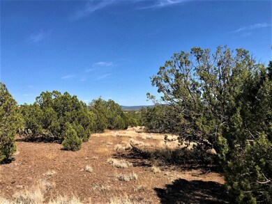 1390 W Joseph Dr, Ash Fork, AZ 86320 - photo 4