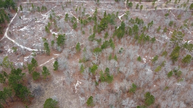 DJI_0595