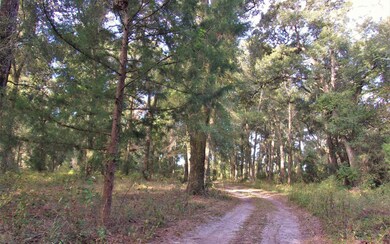 4534 276th Terrace, Branford, FL 32008 - photo 4