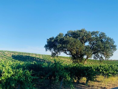 4860 Camp 8 Rd, Paso Robles, CA 93446 - photo 4